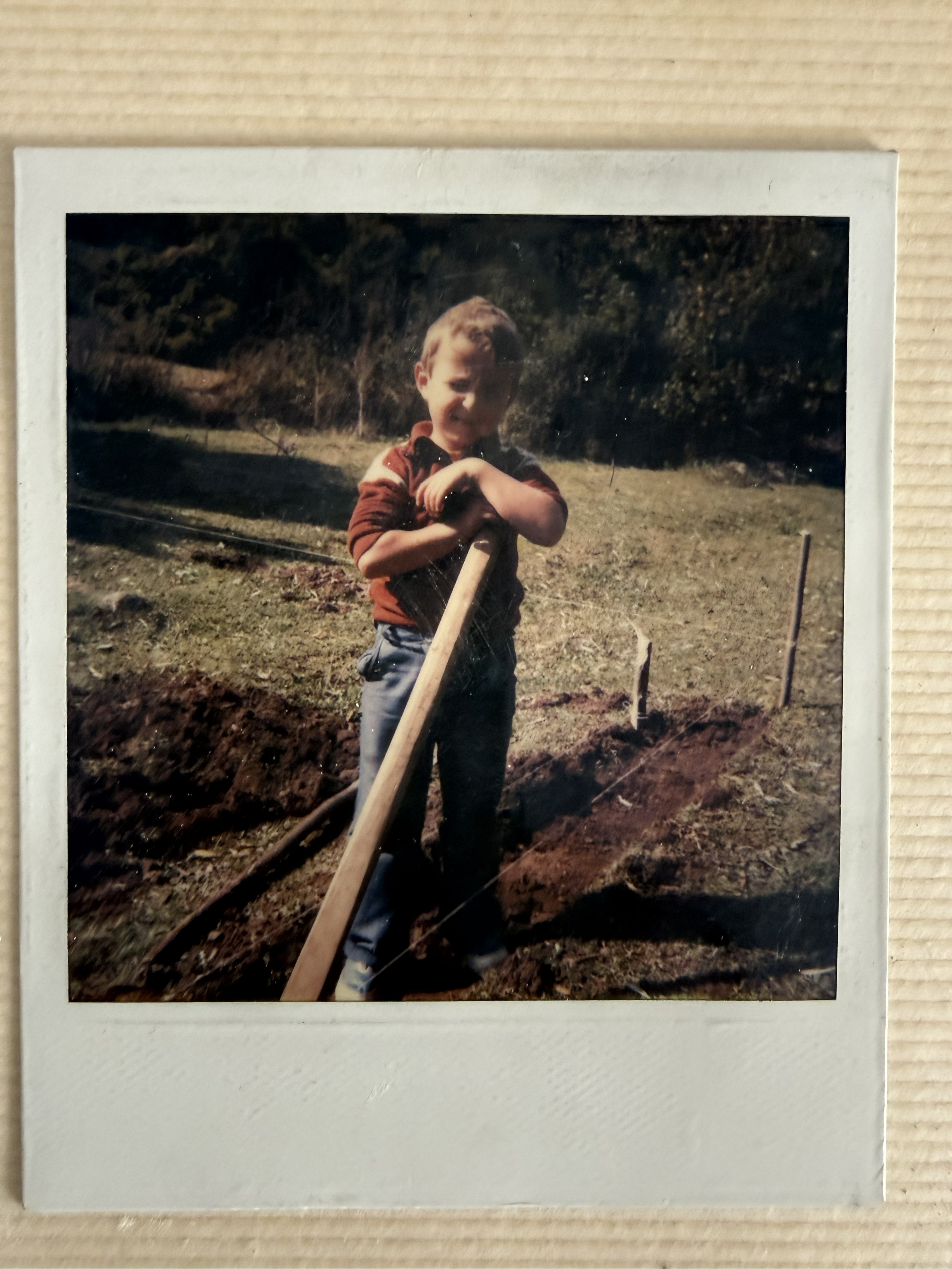 Casa Kosa – rekonstrukcija u toku